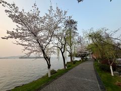-浙江西子宾馆·牡丹厅