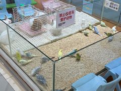 -鹏欣水游城