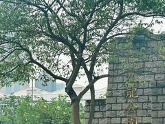 -九龙公园