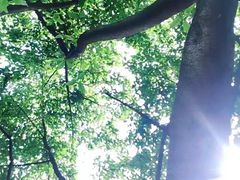 -重庆平顶山公园