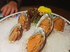 手工冰镇鲍鱼-木棉·醉心粤味(COCO Park店)