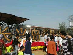 -上海长兴岛郊野公园