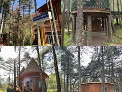 -洛阳白云山景区