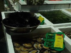 -外伶仃岛海鲜市场