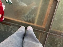 -栾川竹海野生动物园