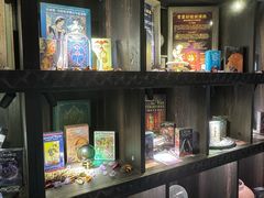 -雪灵魔法世界SHELLY’S TAROT(大良桂畔里店)