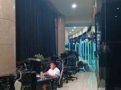 -绿树电竞(五路店)