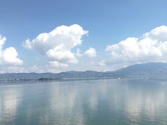 -菌之家·专业纯野生菌火锅·特色炒菌