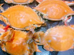 -川骄海鲜自助(亚运村店)