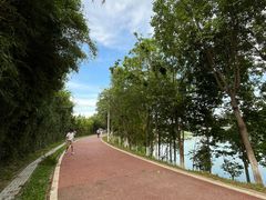 -水濂山森林公园