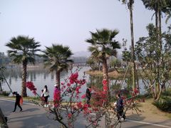 -枫香湖儿童公园