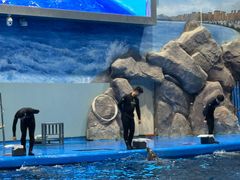 -福州罗源湾海洋世界旅游区