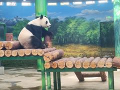 -天津市动物园