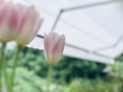 -春暖花开(西溪店)