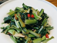-鸽子窝(黄村店)