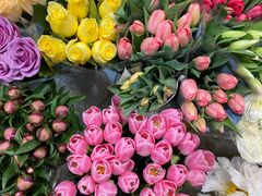 -双季花艺园艺市场(浦东店)