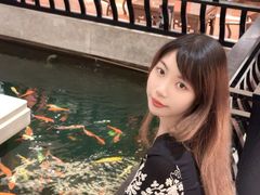 -龙悦湾酒家·八阵鱼生·渔人码头店
