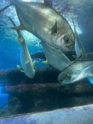 -奈尔宝家庭中心·亲子餐厅(长沙运达汇店)