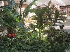 -东方之珠洗浴休闲广场(南开店)