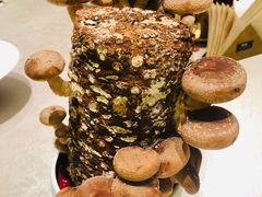 -ONE FULL 古董港式海鲜火锅