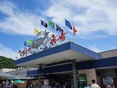 -海鮮寿司とれとれ市場