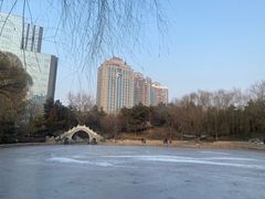 -团结湖公园