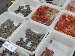 -青石桥花鸟鱼虫市场(叠翠城店)