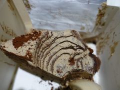 -Awfully Chocolate(来福士广场店)