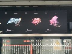 -大望路(地铁站)