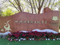 -泗洪洪泽湖湿地景区