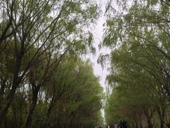 -同里国家湿地公园