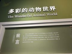 -国家自然博物馆