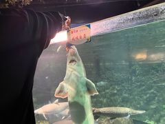 -嘉兴海底世界