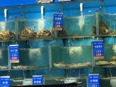 -海味当家·蒸锅海鲜(星海公园店)
