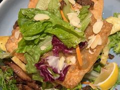 -blue frog蓝蛙(长泰广场店)