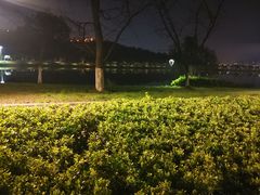 -羊山湖公园