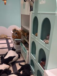 -奈尔宝·儿童乐园·亲子餐厅(苏州大悦城店)