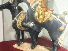 -武汉达临性学生命文化博物馆