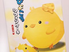 -关西国际机场直营免税店