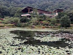 -桃花岭景区