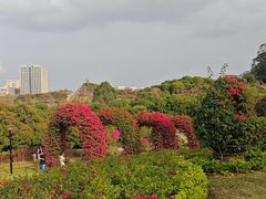 -东莞植物园