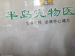 -半岛宠物医院24小时(科华中路店)