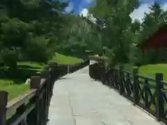 -空中草原