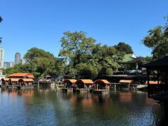 -侨美·唐荔园·40年地道粤菜