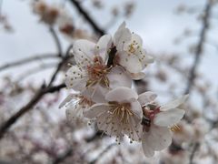 -白塘生态植物园