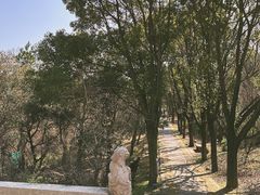 -虞山风景区