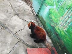 -常州淹城野生动物世界