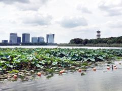 -暨阳湖生态园