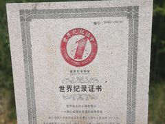 -千年银杏谷文化旅游区