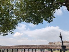 -枫香湖儿童公园